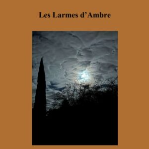 Olivier Robaraud - Les Larmes d'Ambre